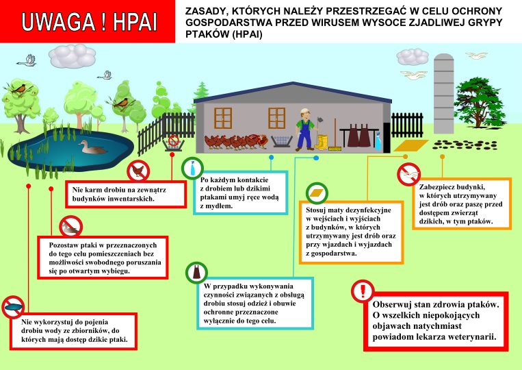 Zasady bezpieczeństwa przy Grypie Ptaków