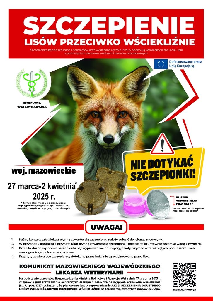 Szczepienie przeciw wściekliźnie na Mazowszu - marzec 2025