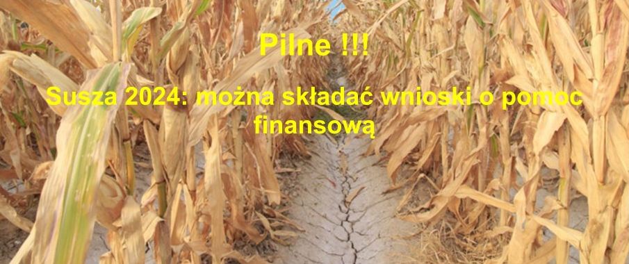 Susza 2024
