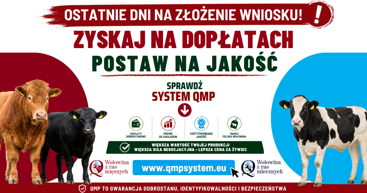 Dodatkowe pieniądze dla hodowc&oacute;w z QMP &ndash; tylko do 1 czerwca